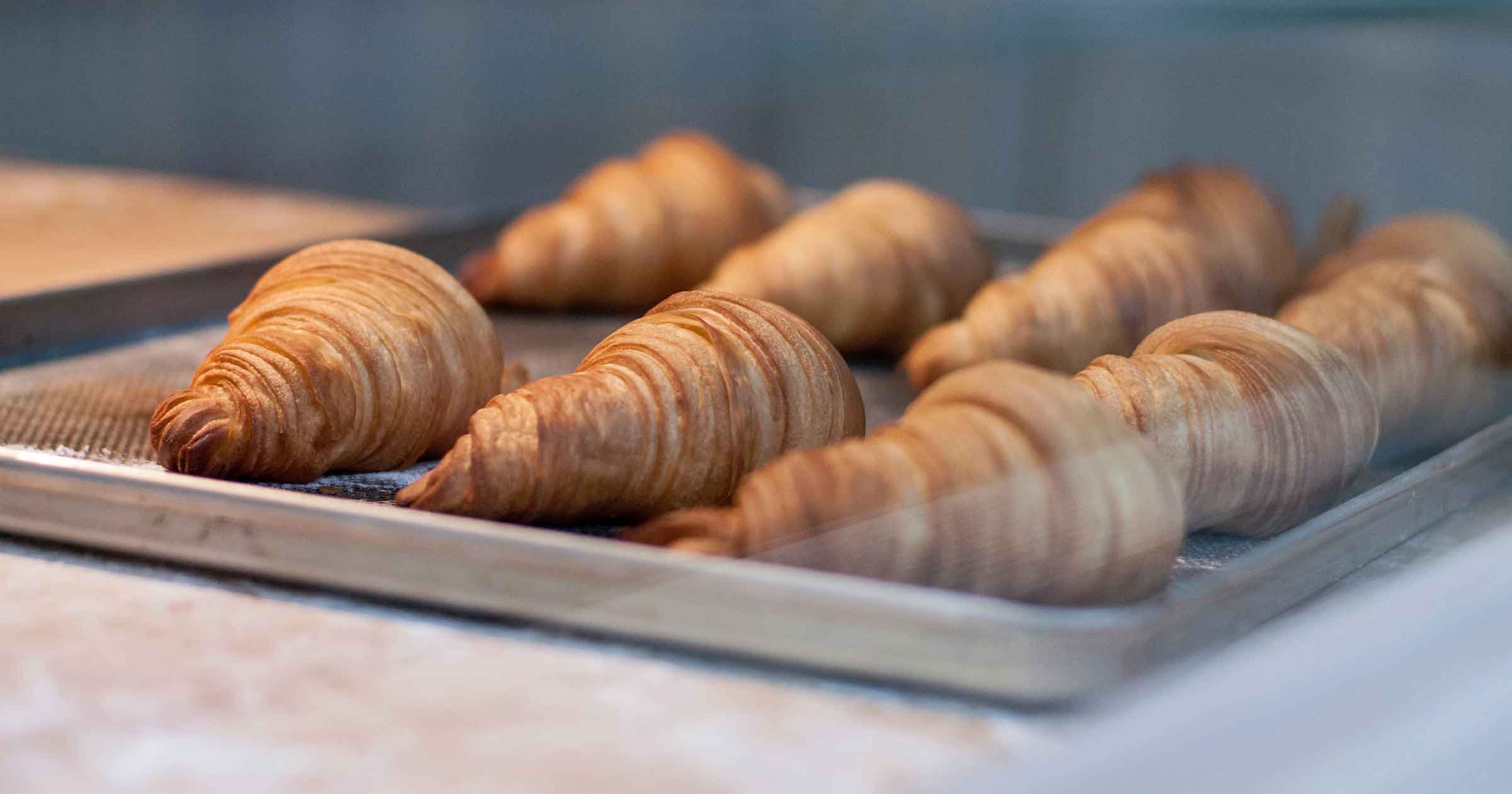 Best Avada Bakery products of 2019